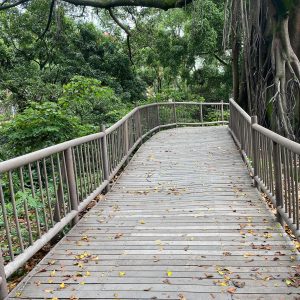 Puentes en Plástico Reciclado